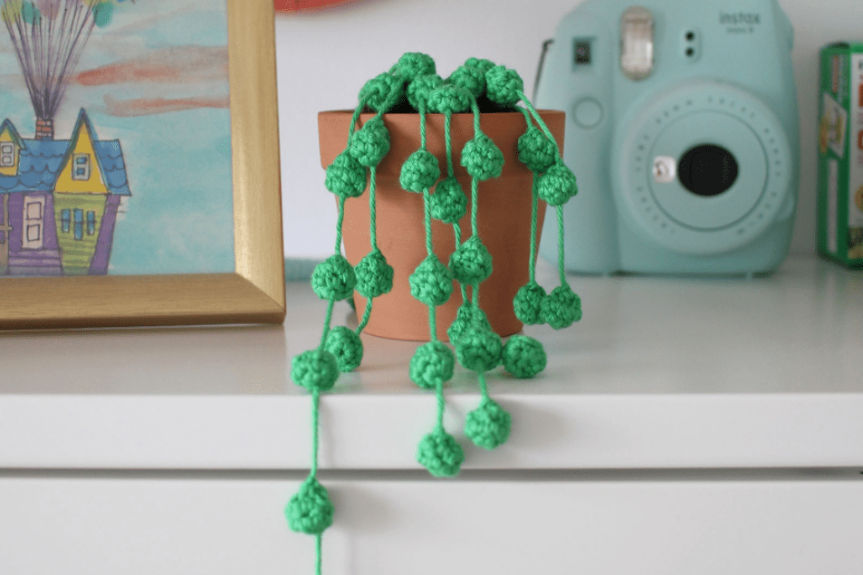 A crochet string of pearls plant sits on a white shelf beside a drawing of a house and a pale mint camera.