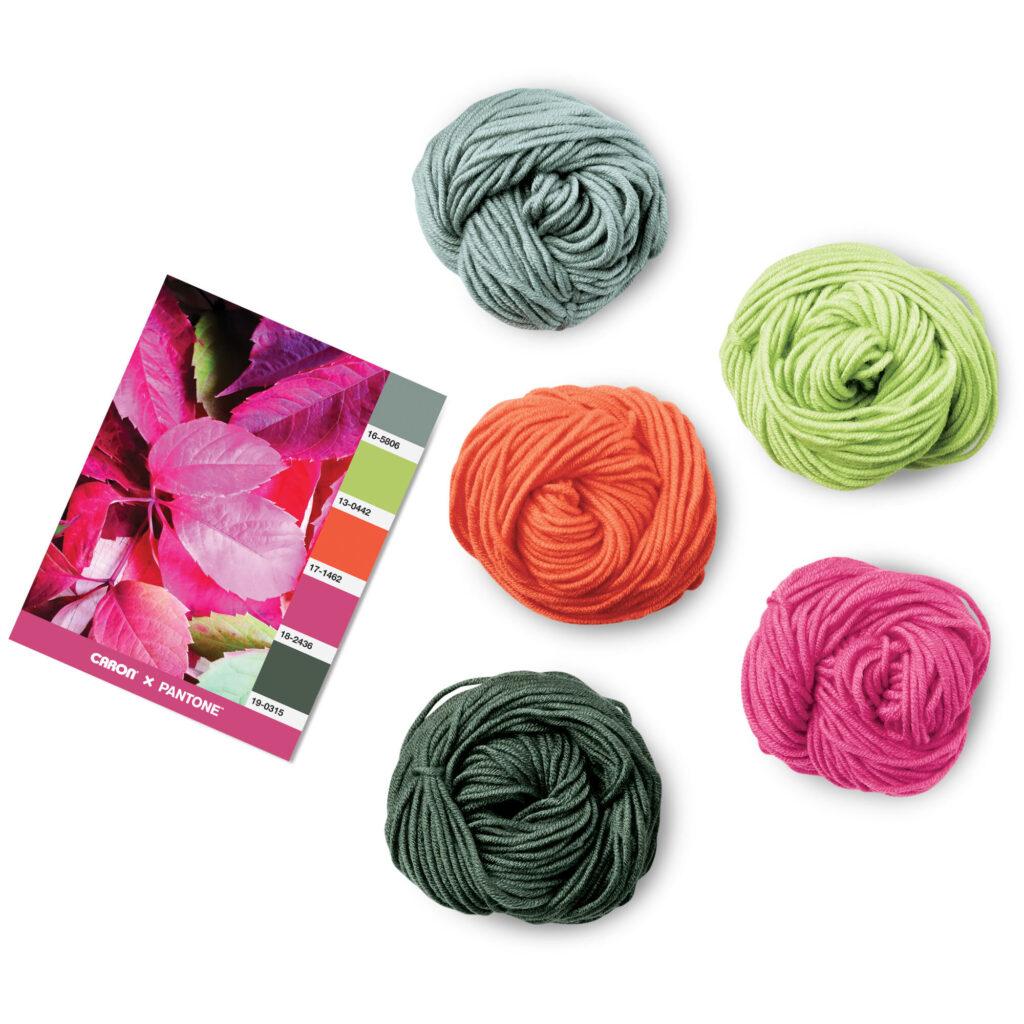Caron pantone yarn